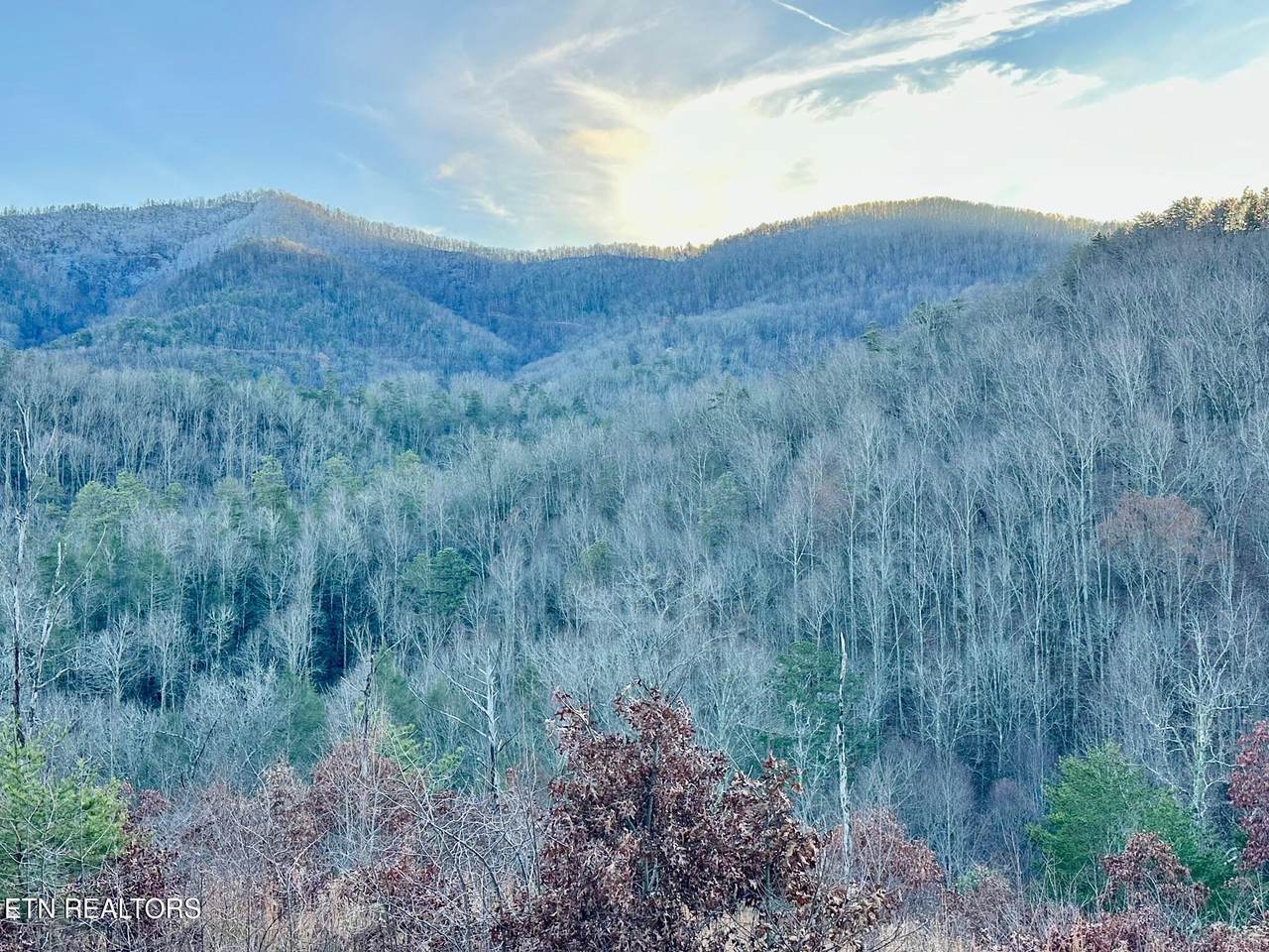 1611 Mountain Dreams Way - Photo 1