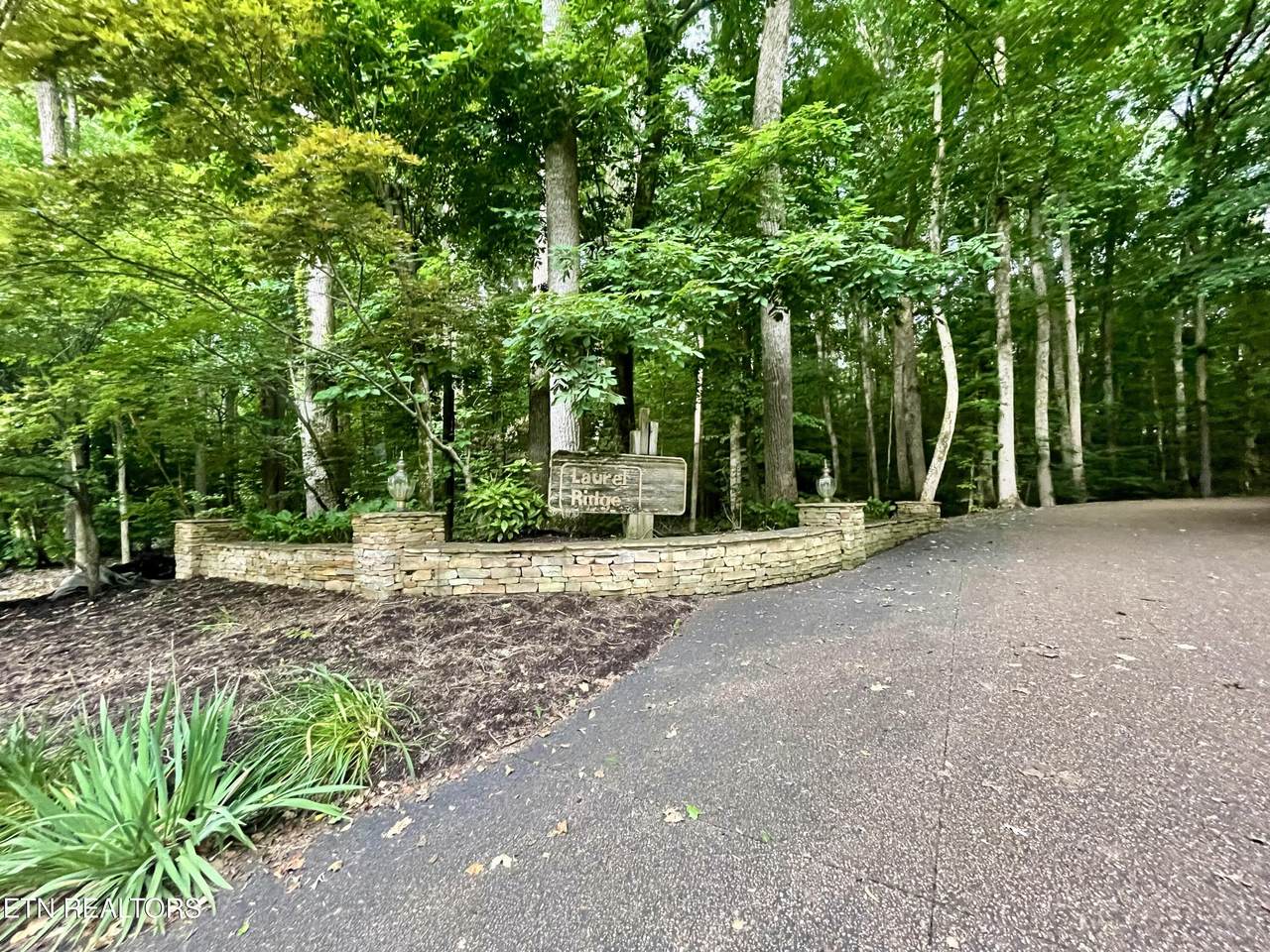 505 Maple Ave - Photo 1