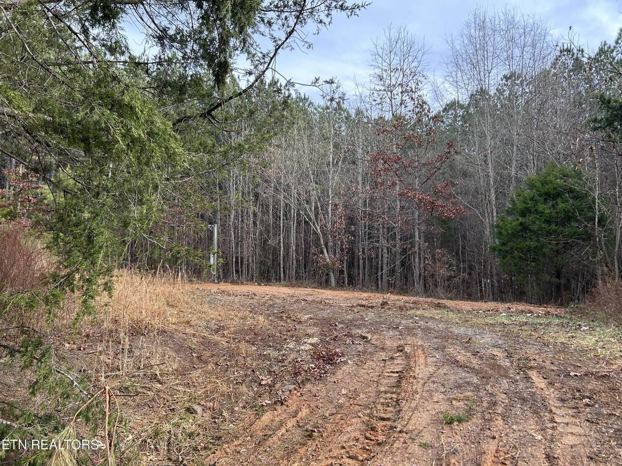 286 County Road 285 - Photo 1