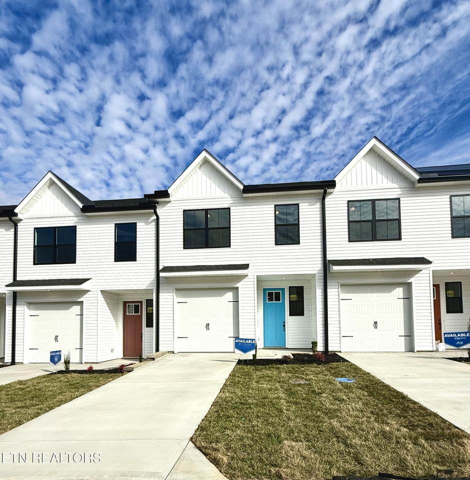 8830 Chapman Trace Way - Photo 1