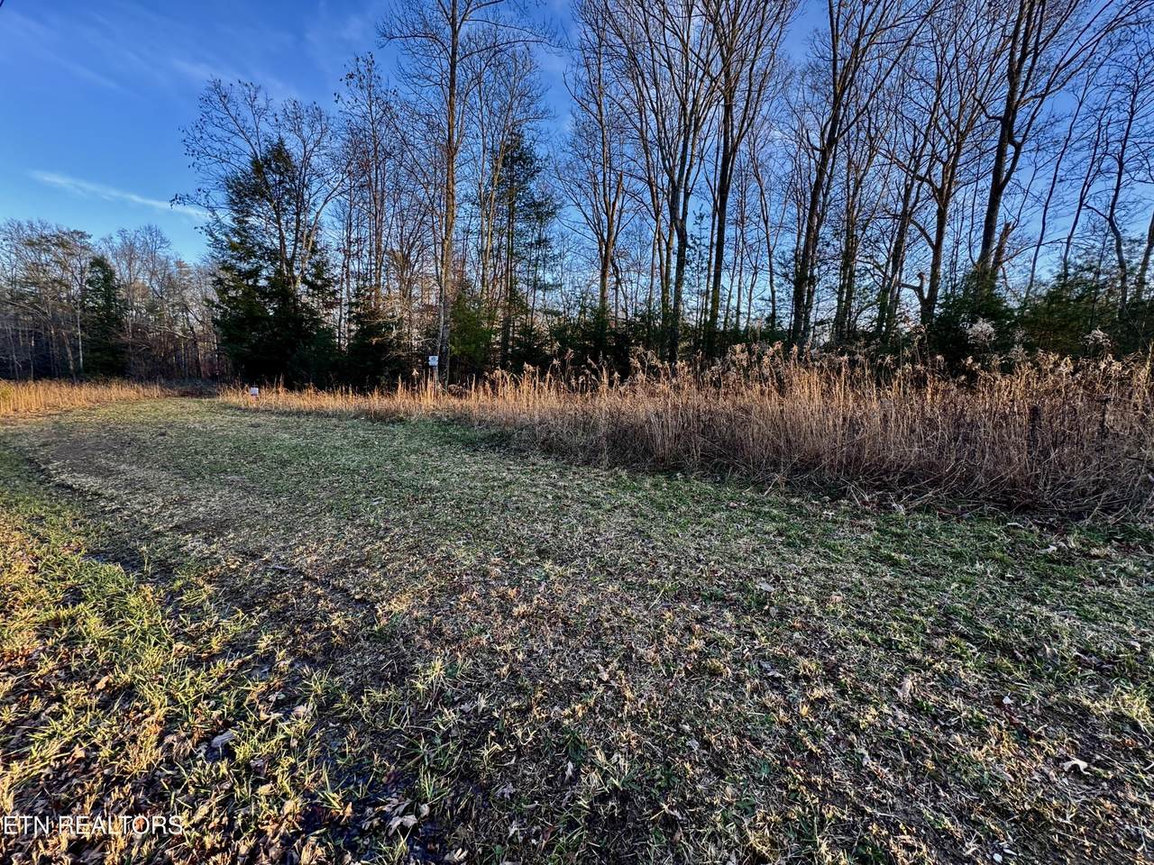  Four Mile Creek Rd - Photo 1