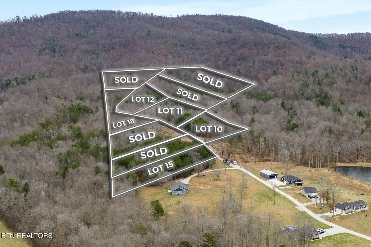 0 Cordell Mtn Pvt Lane - Photo 1