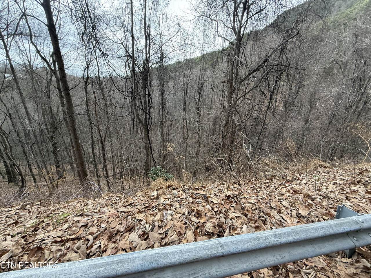 Lot 34 Alpine Drive - Photo 1