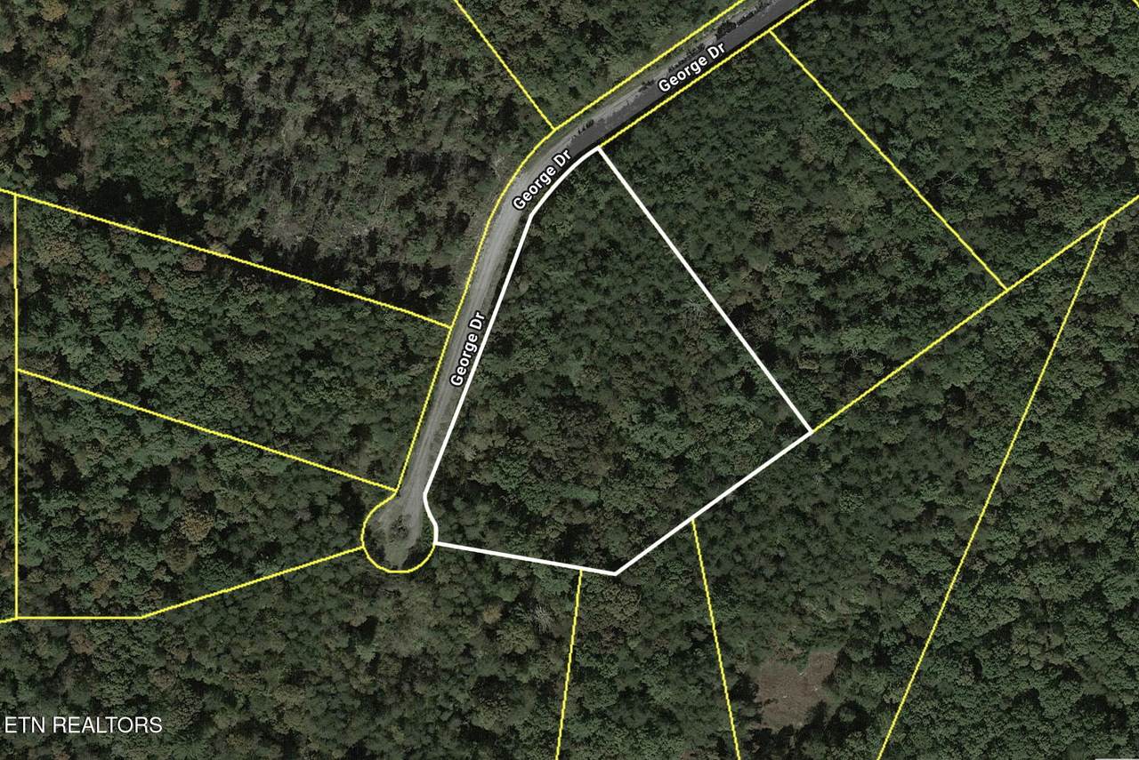  George Drive - Photo 1