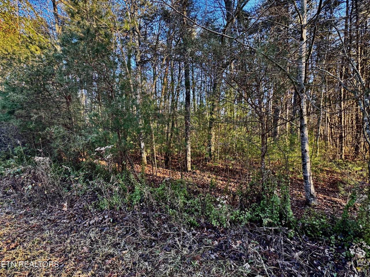  George Drive - Photo 1