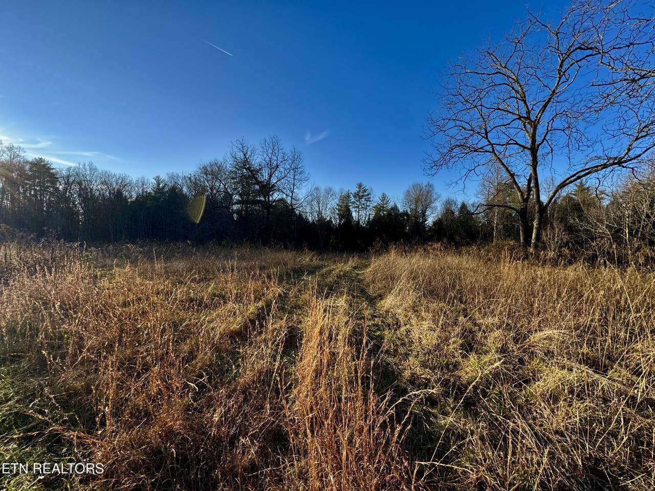  Four Mile Creek Rd - Photo 1