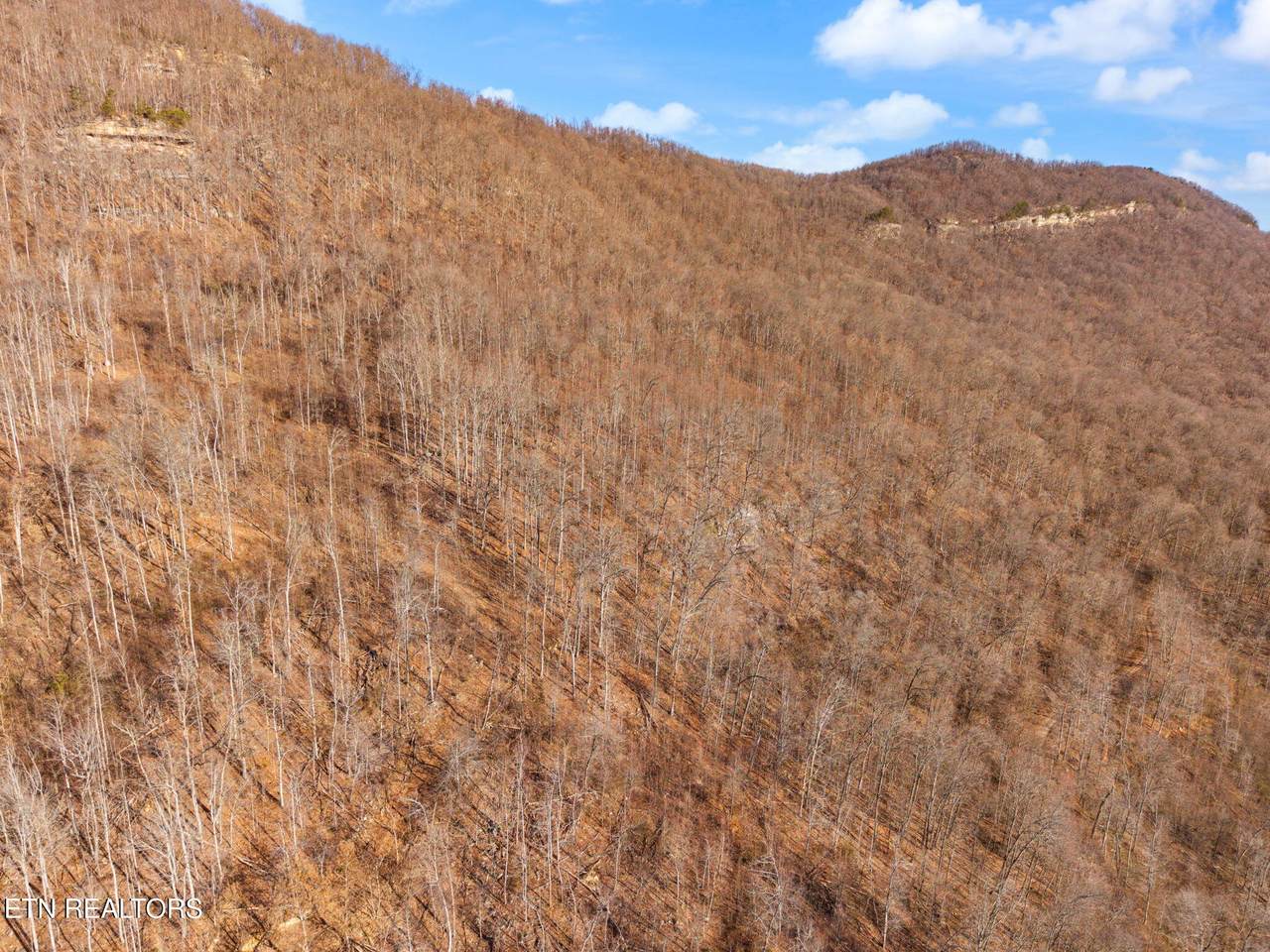  Greene Lane E Of - Photo 1