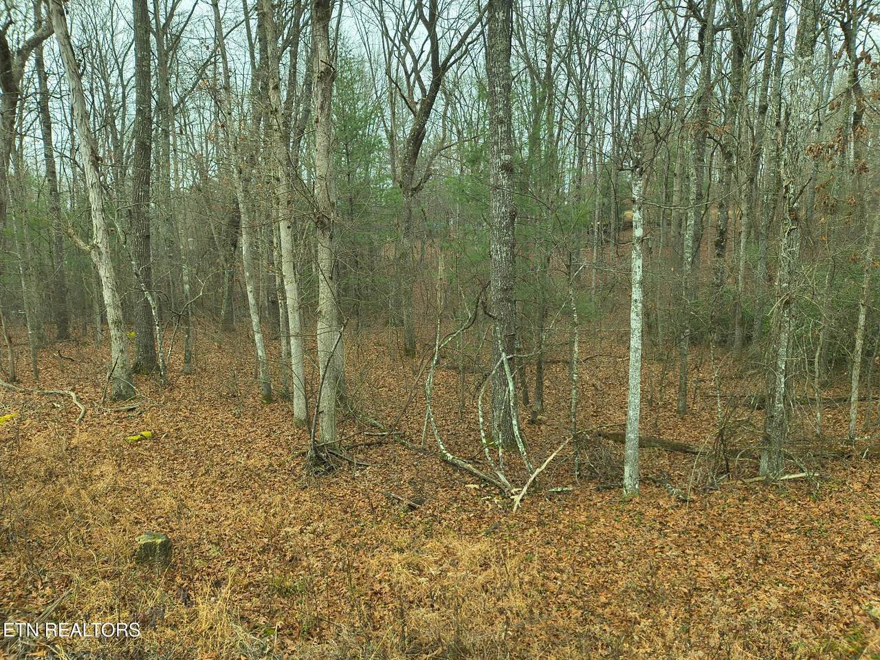 526 & 528 Tsala Drive - Photo 1