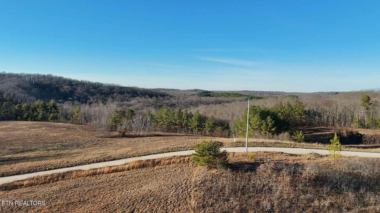 Lot 2 Honey Creek Rd. Rd - Photo 1