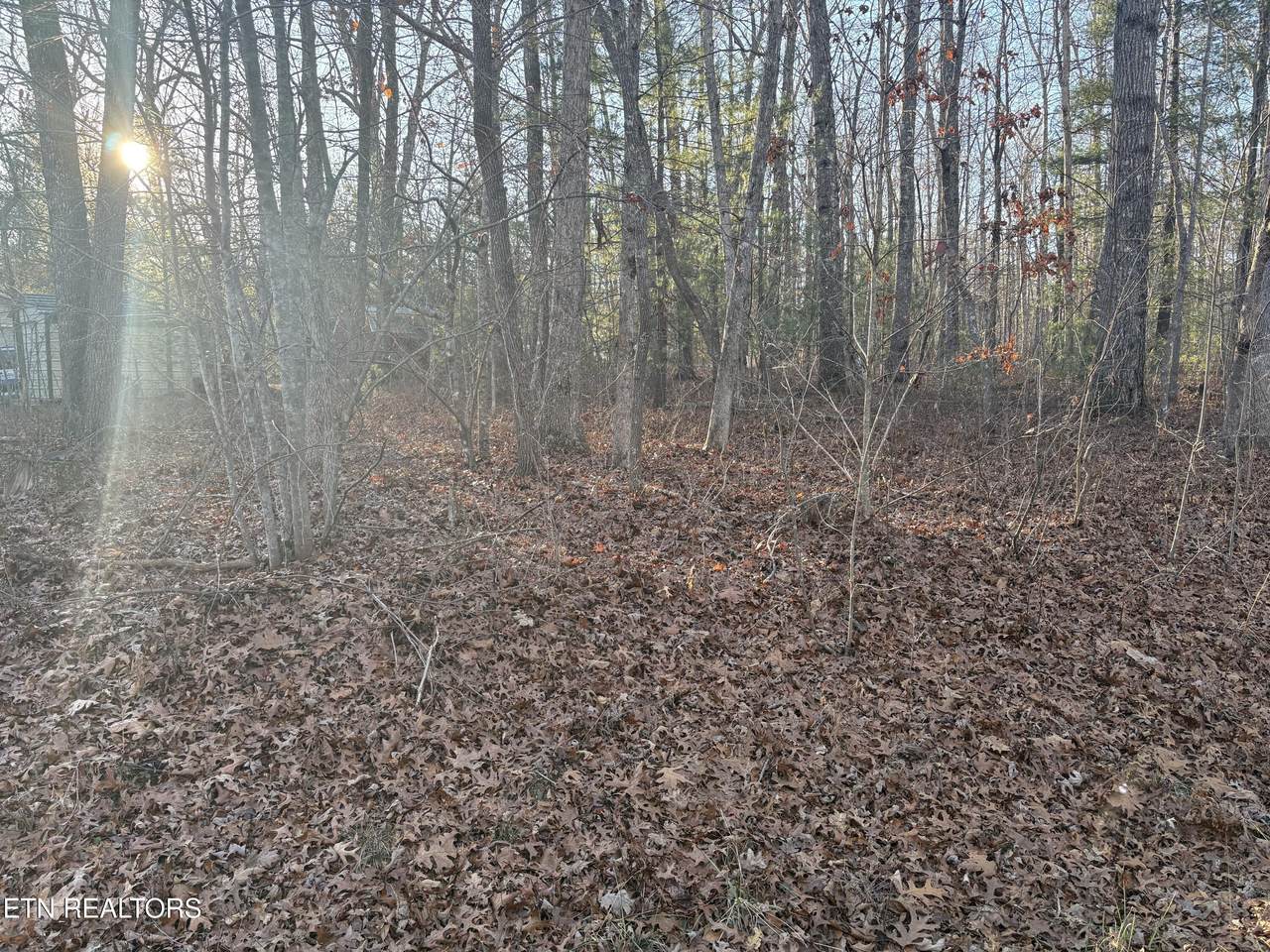 107 Ola Drive - Photo 1