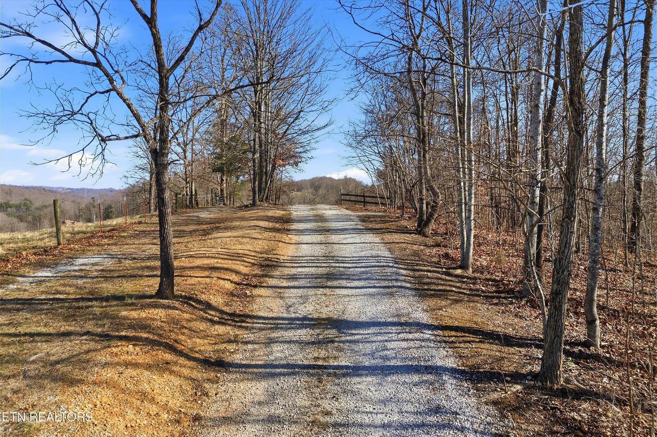 Lot 0 Sugar Hollow Rd - Photo 1