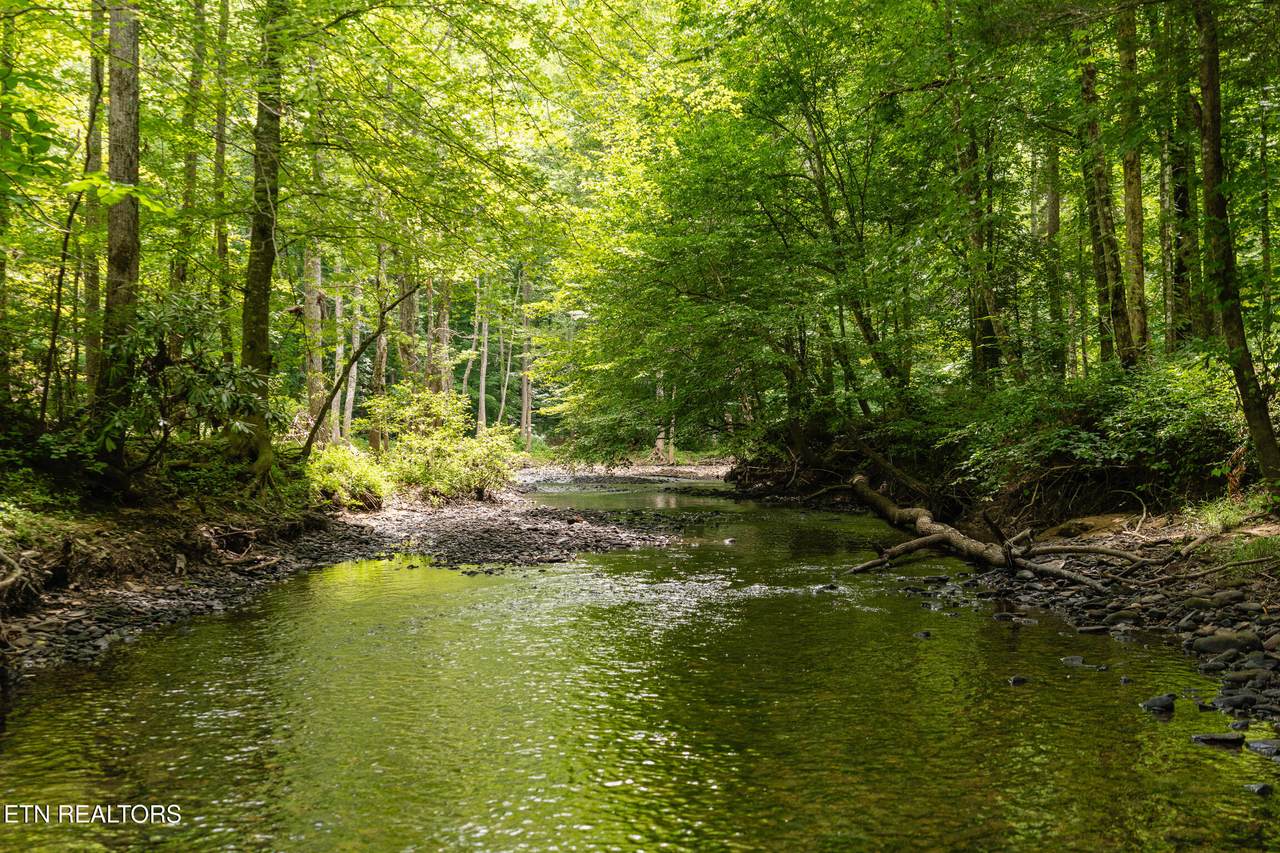 1.92 Ac Steel Tram Ridge Lane - Photo 1