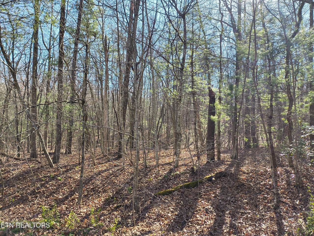 224 Newgate Rd - Photo 1