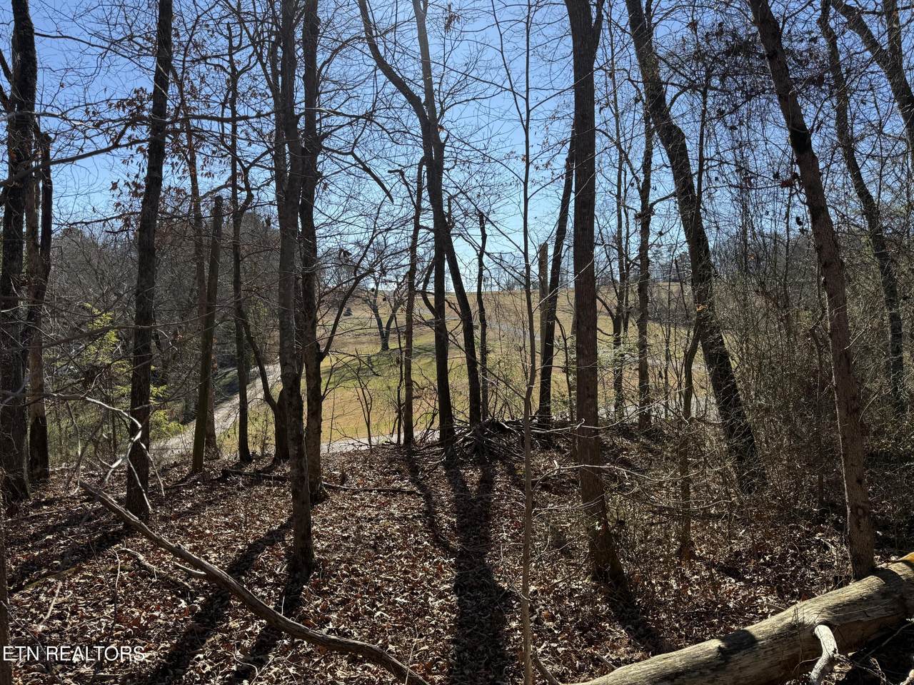 0 Cates Rd - Photo 1