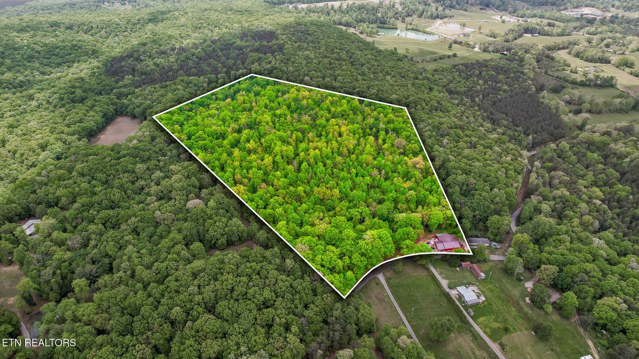 17.65 Blaine Smith Rd - Photo 1