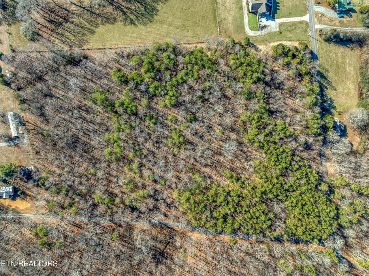  County Rd. 260 Lot 1 - Photo 1