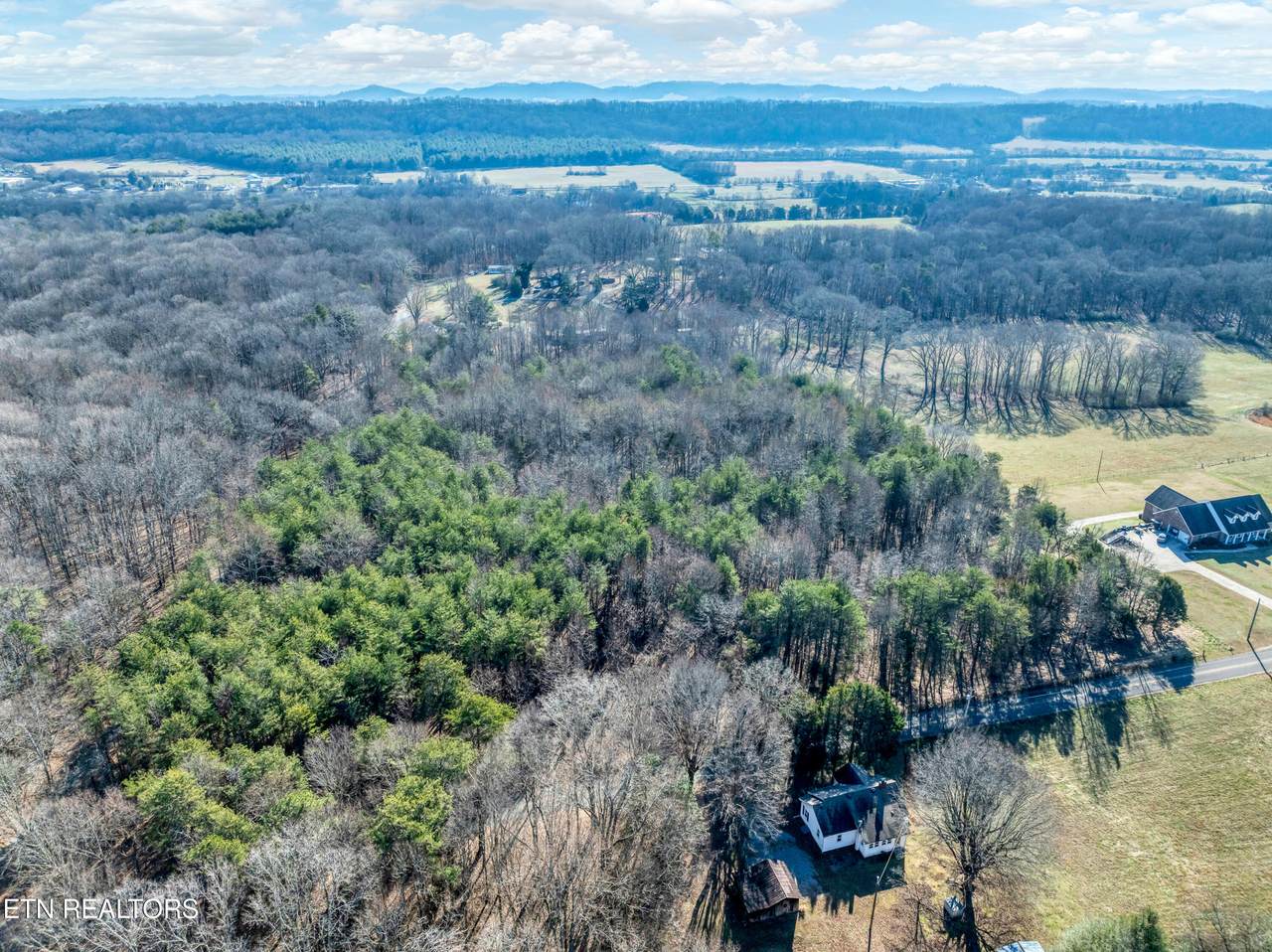  County Rd. 260 Lot 3 - Photo 1