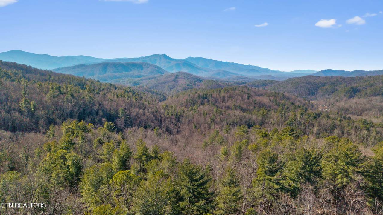 4855 Teague Branch Rd - Photo 1