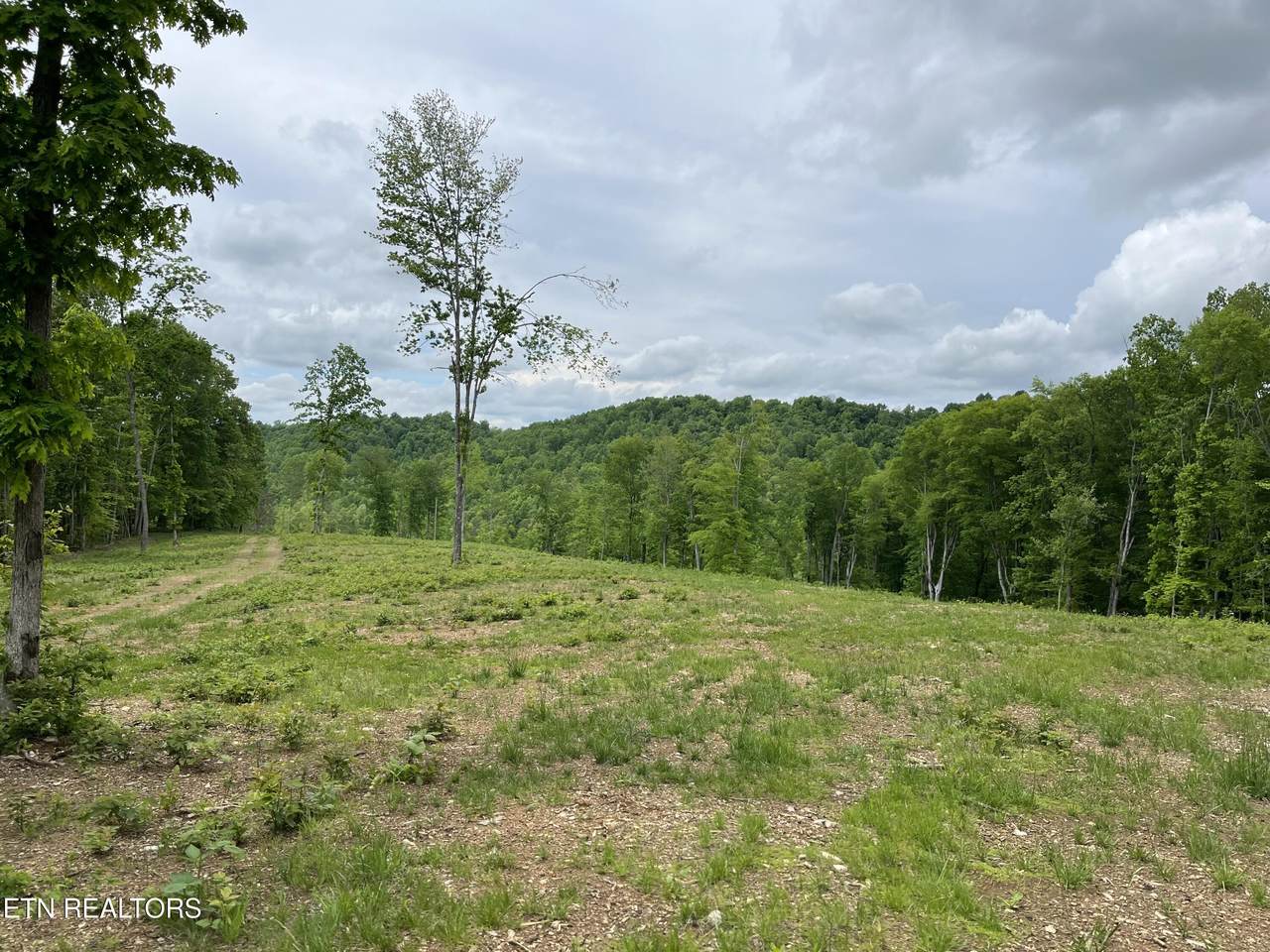 123 Ingle Lane - Photo 1