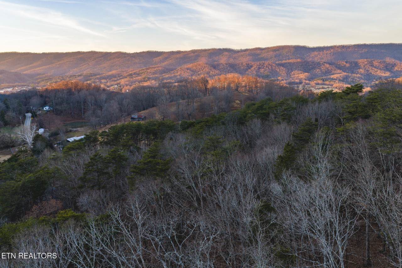 1655 Lester Whitt Rd - Photo 1