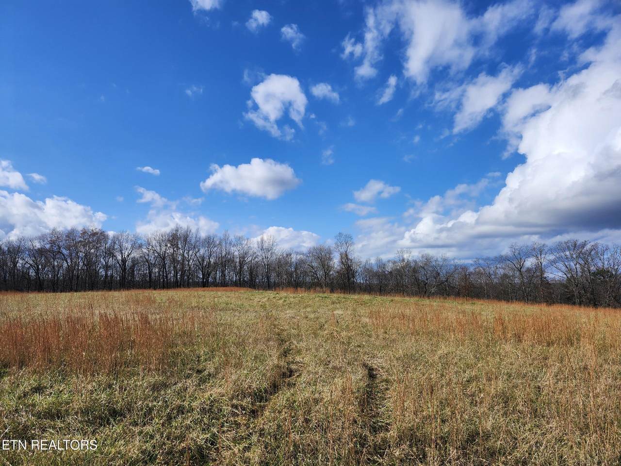 379 Christenson Rd - Photo 1