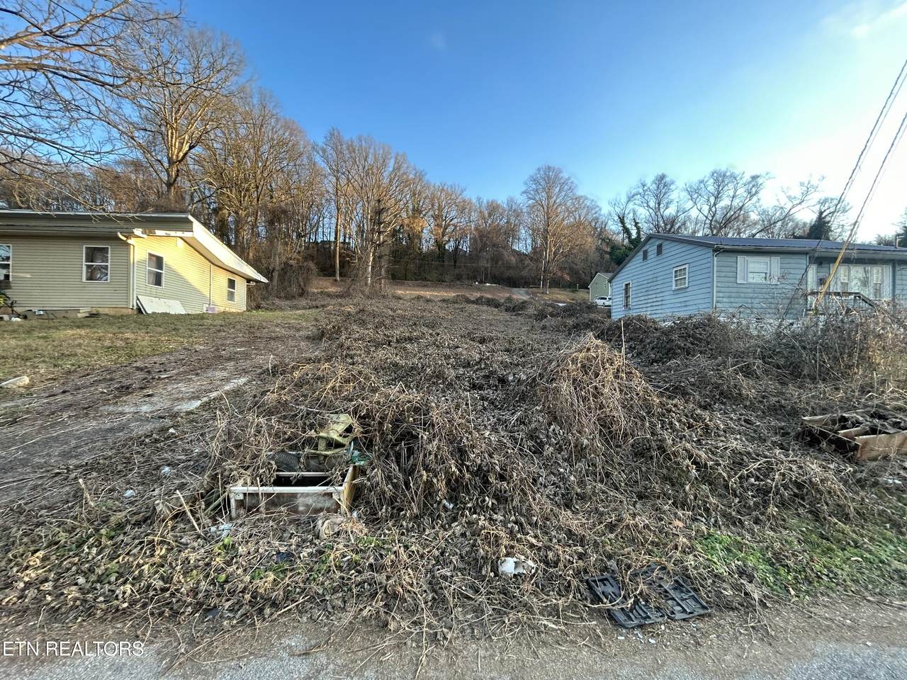 4258 Ivy Ave - Photo 1