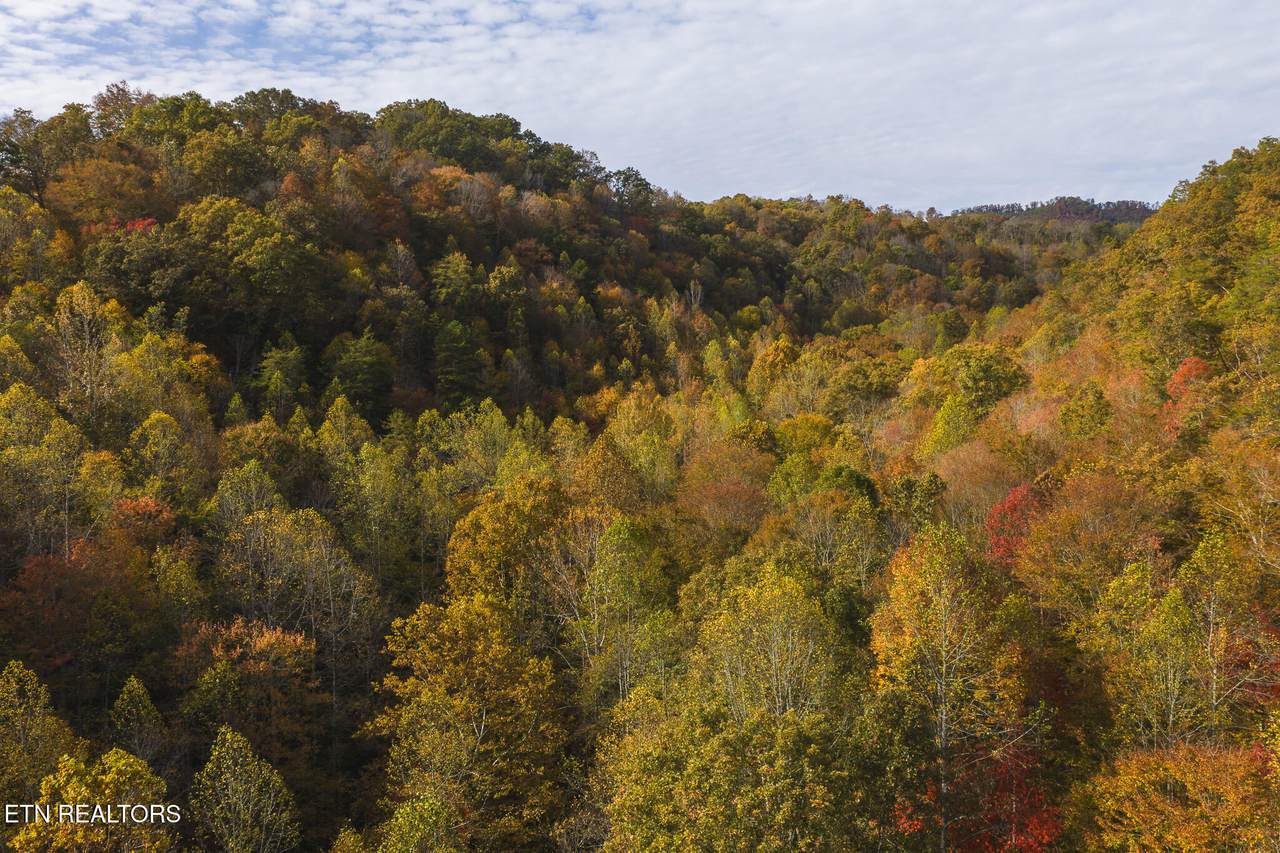 1619-89 ac Lynn Flanary Rd - Photo 1