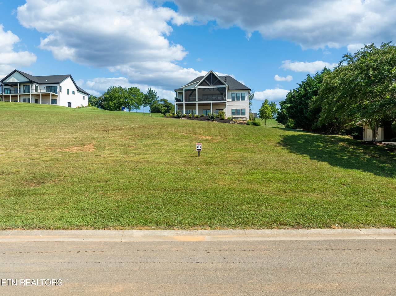 439 Chestnut Lane - Photo 1