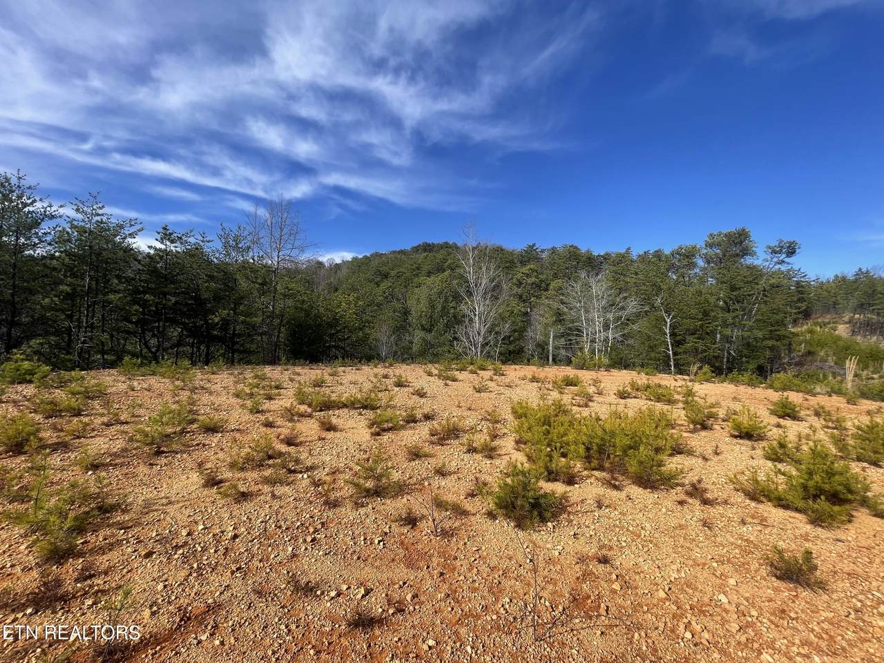 Lot 36 Bullet Mountain Drive - Photo 1