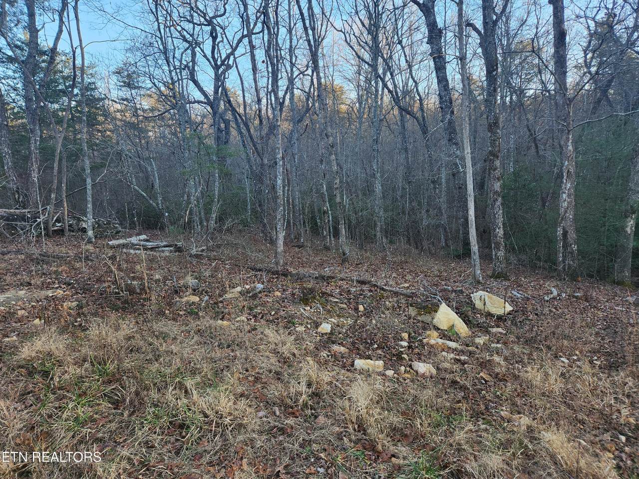 448 St. George Drive - Photo 1