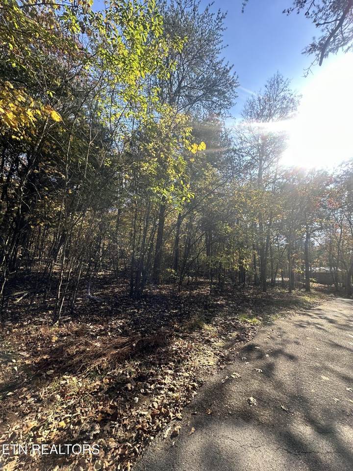 656 Bluegreen Way - Photo 1