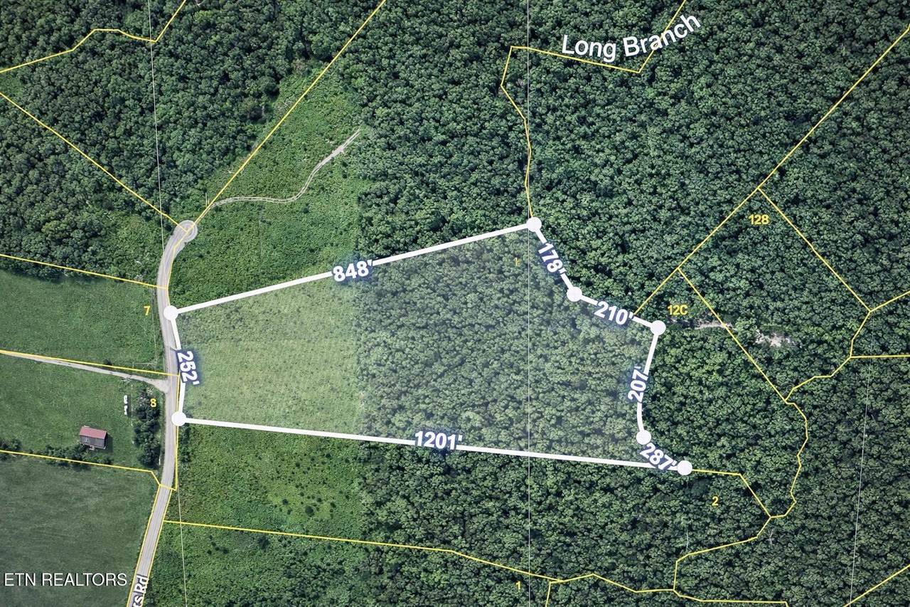 9.8 Acres Tyler Tr - Photo 1