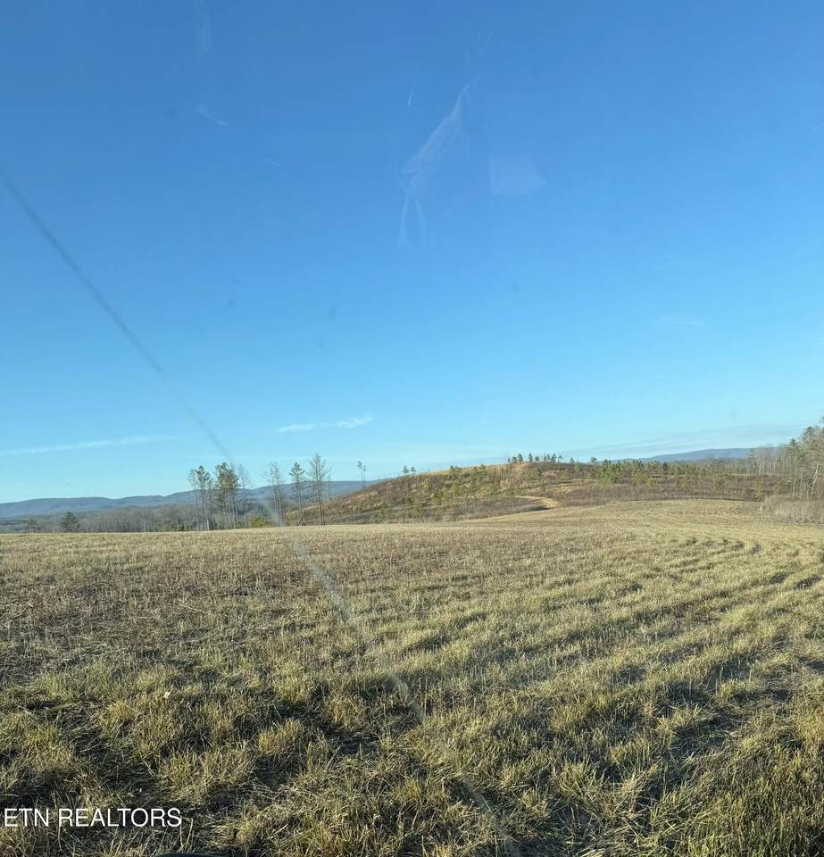  Possom Trot Rd. - Tract 3 - Photo 1