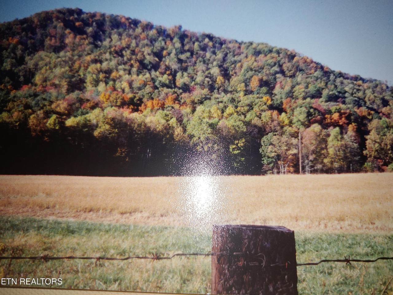  Mill Creek Rd - Photo 1