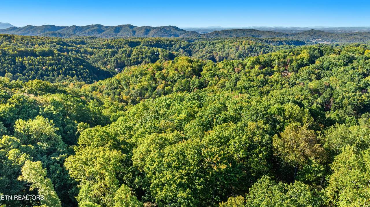 0 Deer Ridge Lane - Photo 1