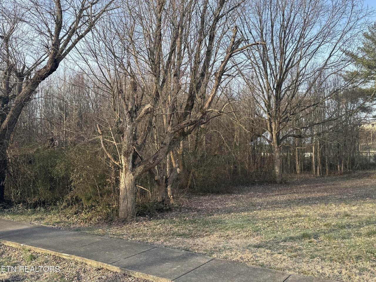 209 Babcock St - Photo 1