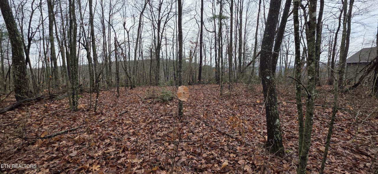 772 Eastridge Pass - Photo 1