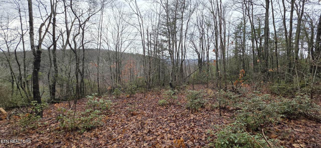 778 Eastridge Pass - Photo 1