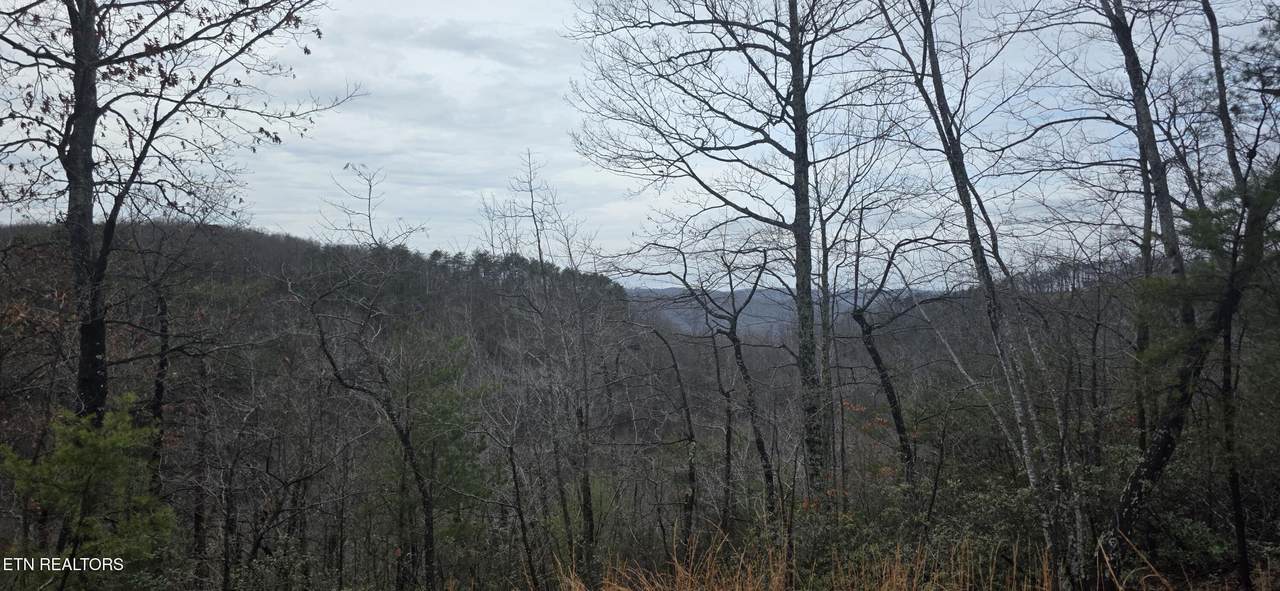 794 Eastridge Pass - Photo 1