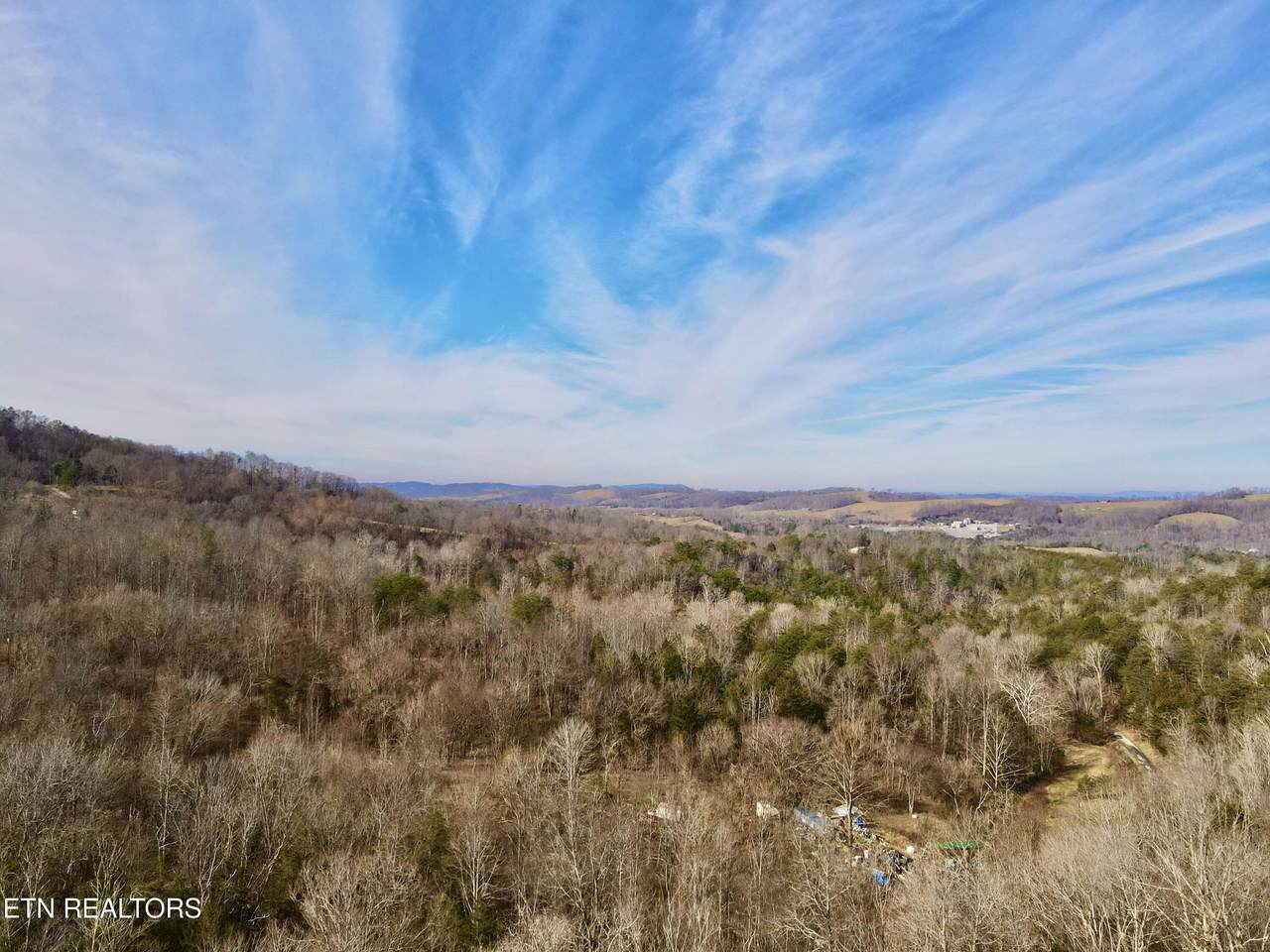 TBD Rufus Coffey Lane - Photo 1