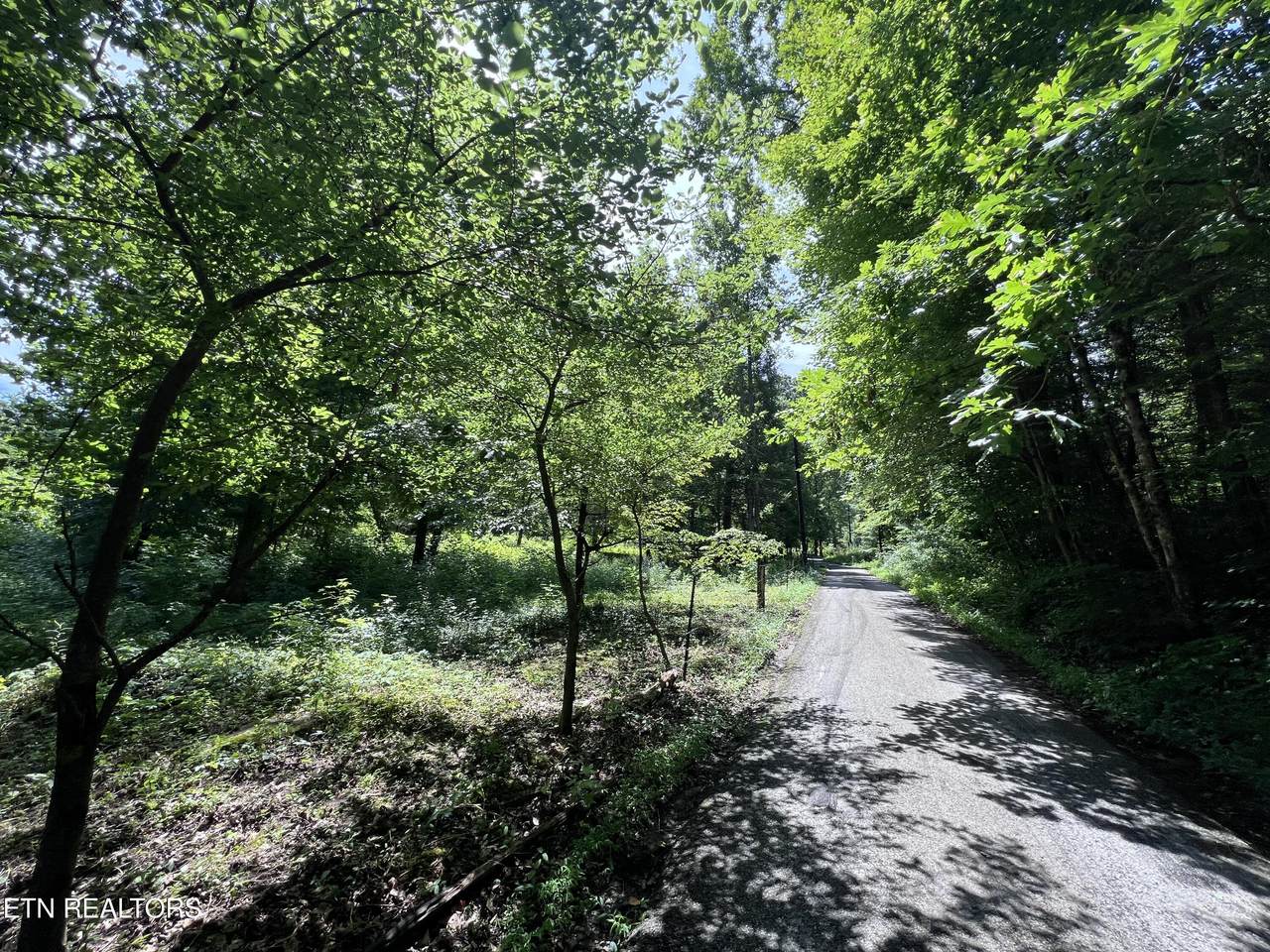 119 Wagon Hollow Rd - Photo 1