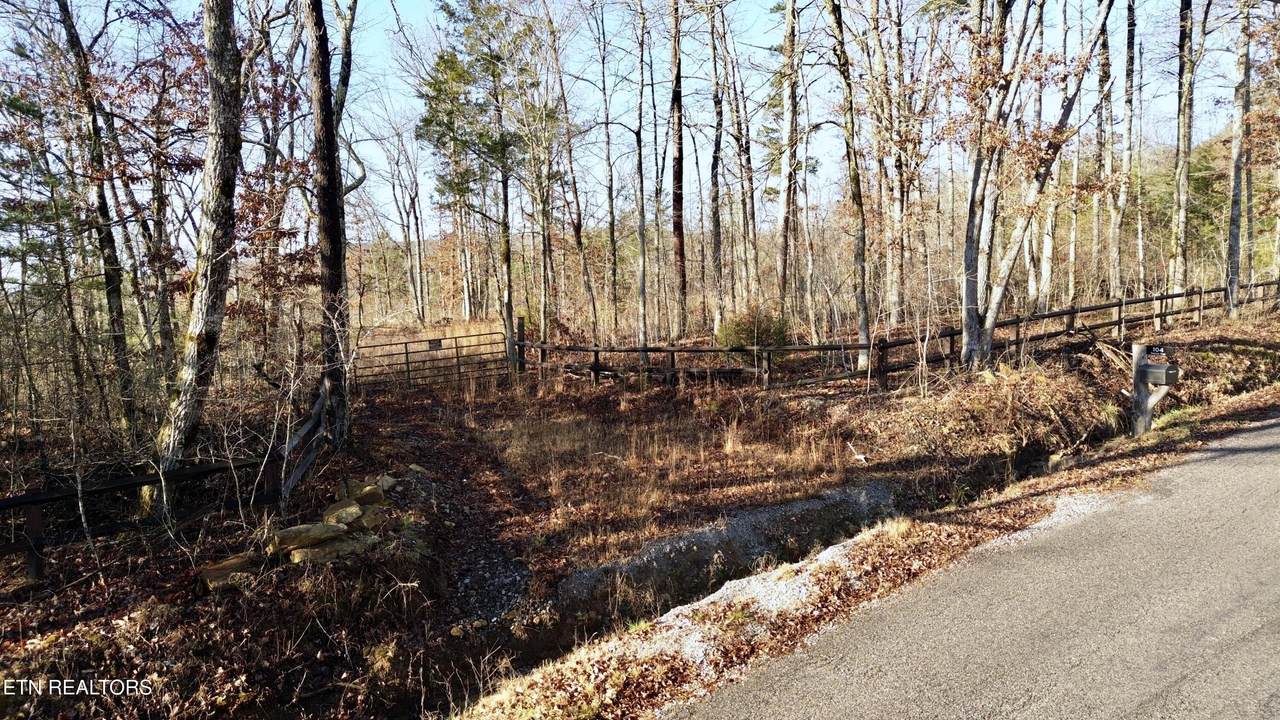 104 Sunrise Tr - Photo 1