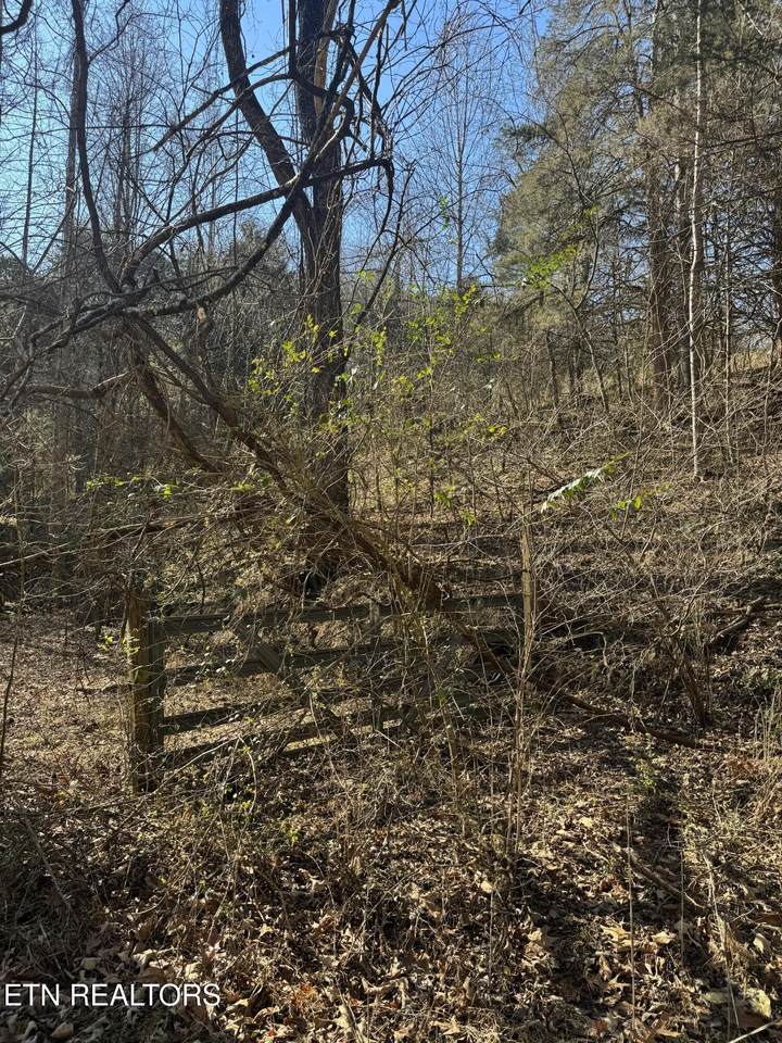  Molly Hollow Rd - Photo 1