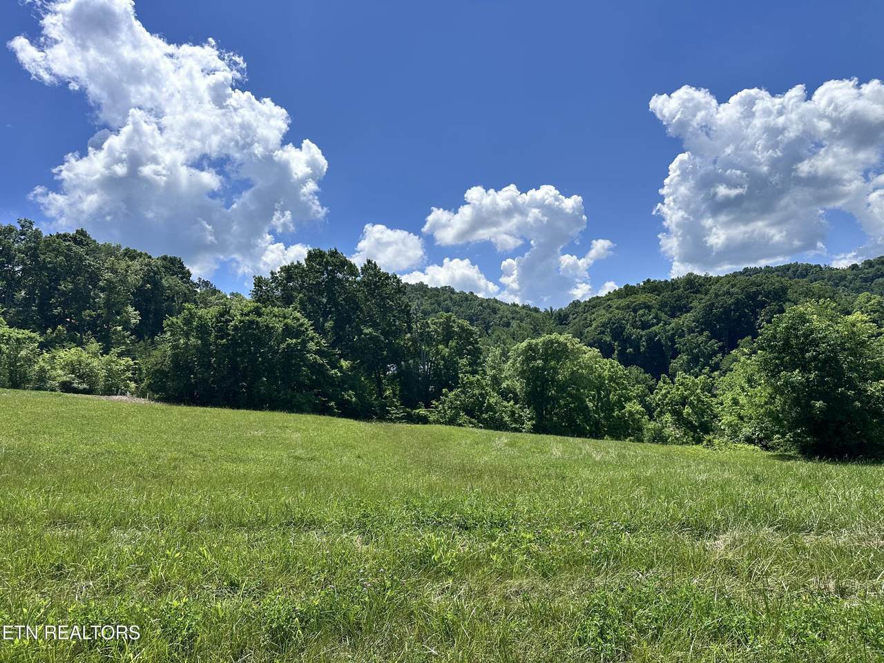 Lot 161R Garfield Lane - Photo 1