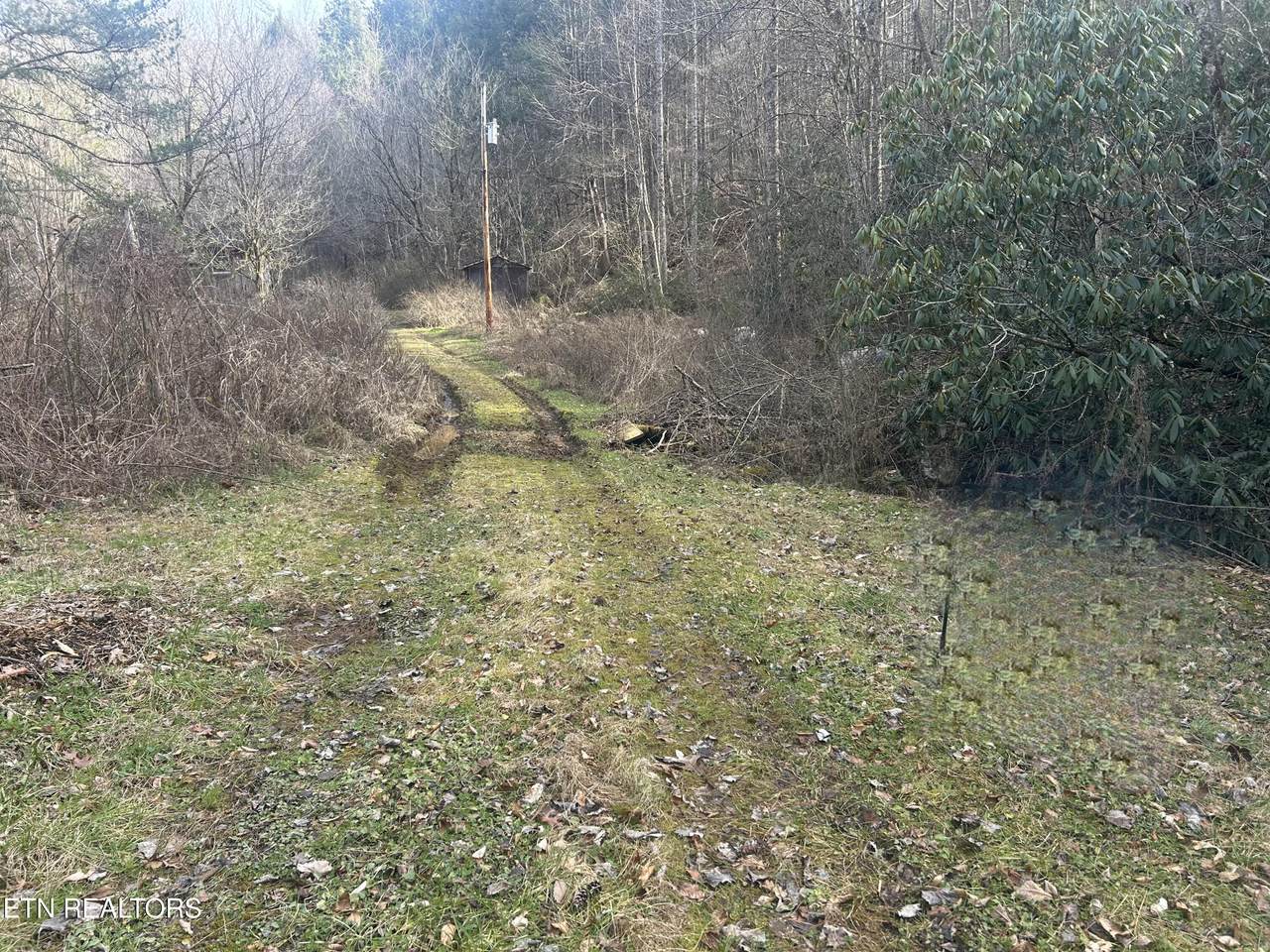 4438 Bruce Ogle Way Way - Photo 1