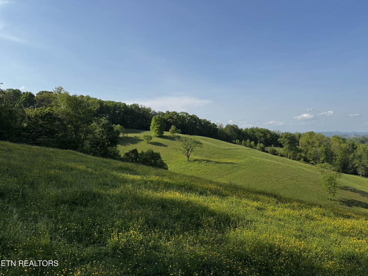  Baltimore Rd - Photo 1