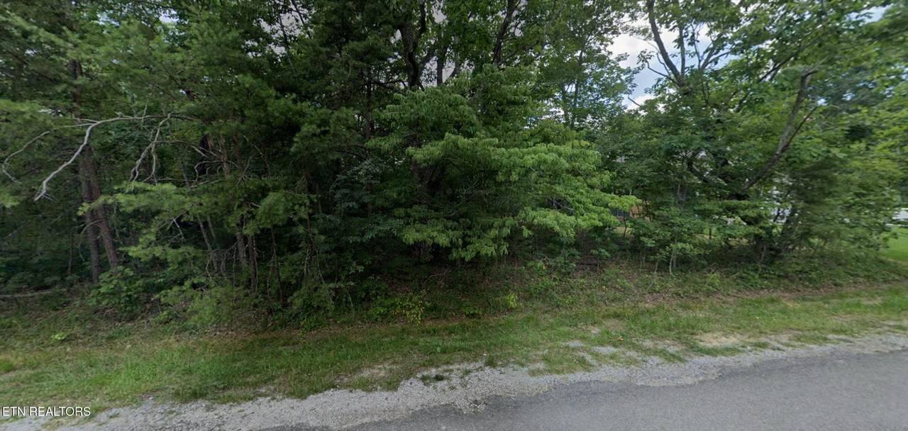 105 Amherst Drive - Photo 1