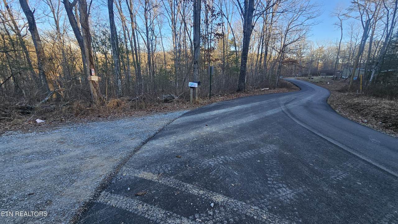  Rocky Point - Photo 1