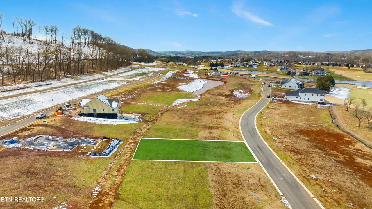 958 Black Bear Circle - Photo 1