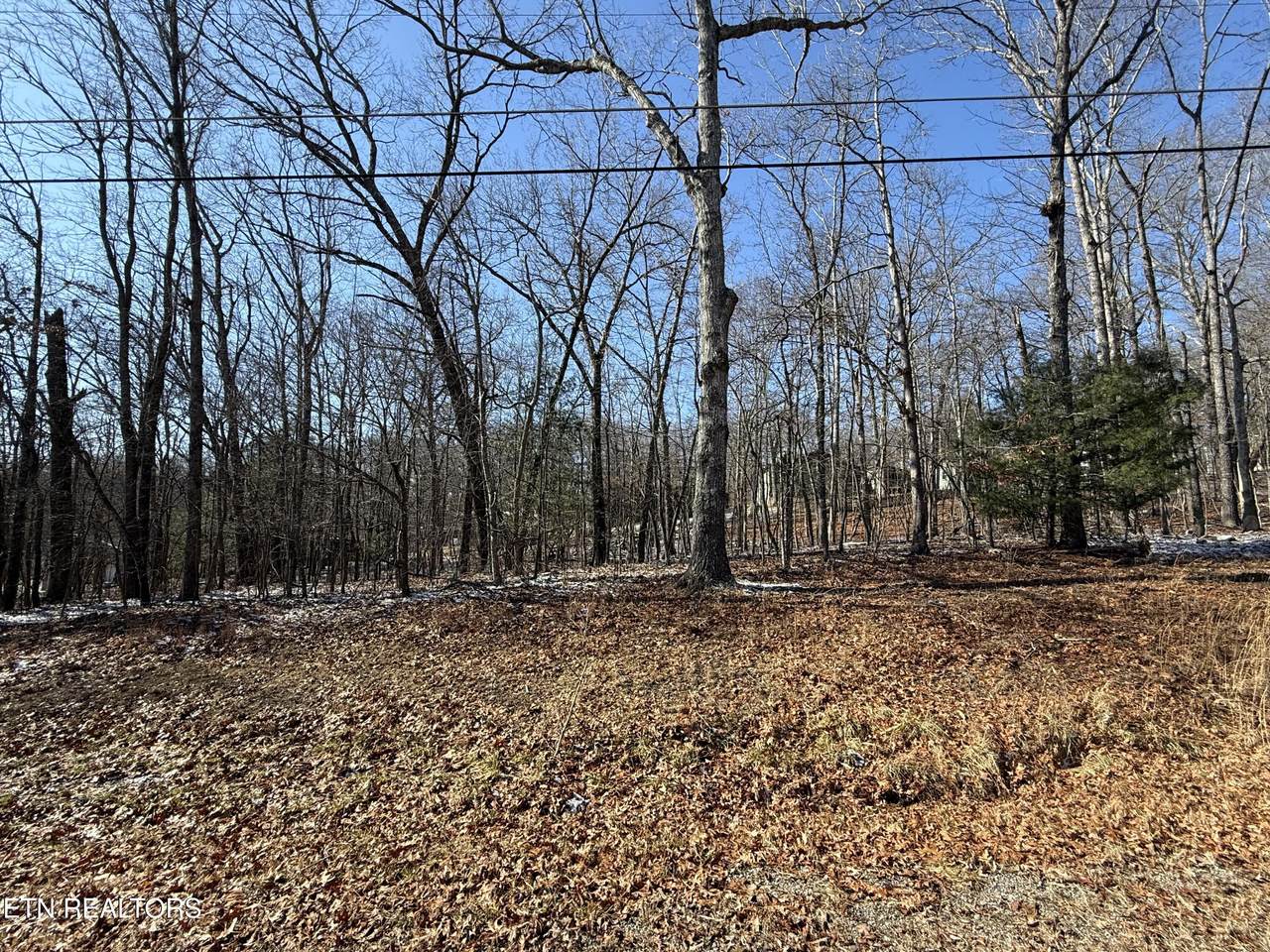 116 Kings Down Drive - Photo 1